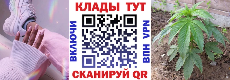 Купить Балтийск А ПВП  Галлюциногенные грибы  ГАШ  Канабис  Cocaine 