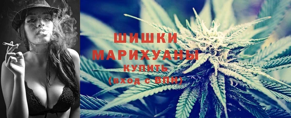 амф Аркадак