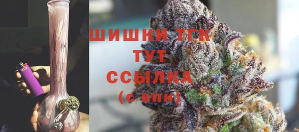 амф Аркадак