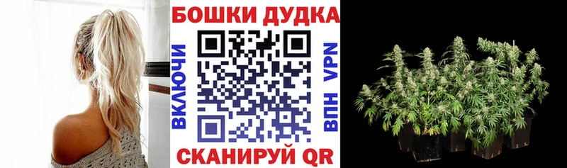 Каннабис OG Kush  Балтийск 